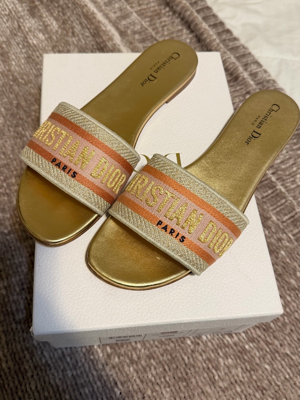 Christian Dior Dway slides